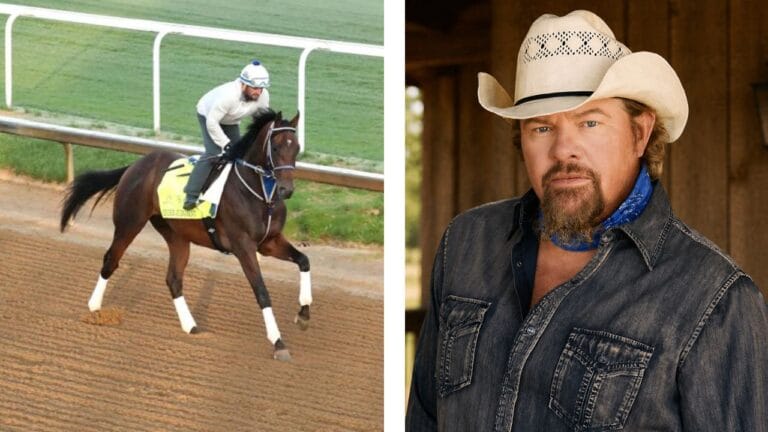 Toby Keith Derby Horse